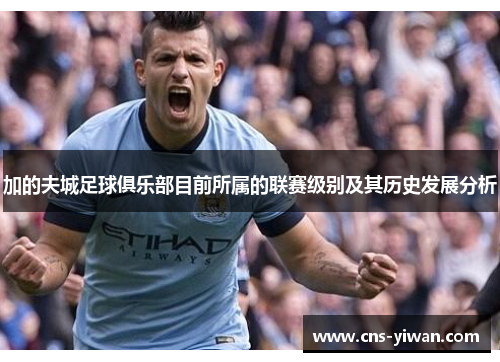 加的夫城足球俱乐部目前所属的联赛级别及其历史发展分析