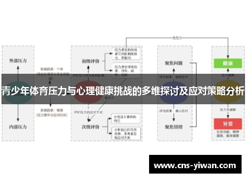 青少年体育压力与心理健康挑战的多维探讨及应对策略分析